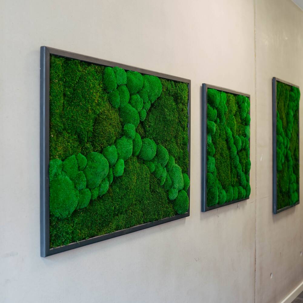 Moosbild 80x80 cm